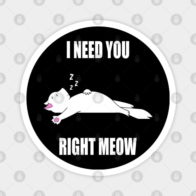 I Need You Right Meow Magnet by FabulousDesigns